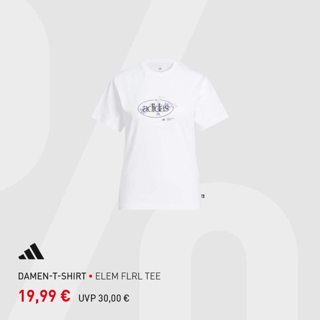 Z-Flyer Angebote