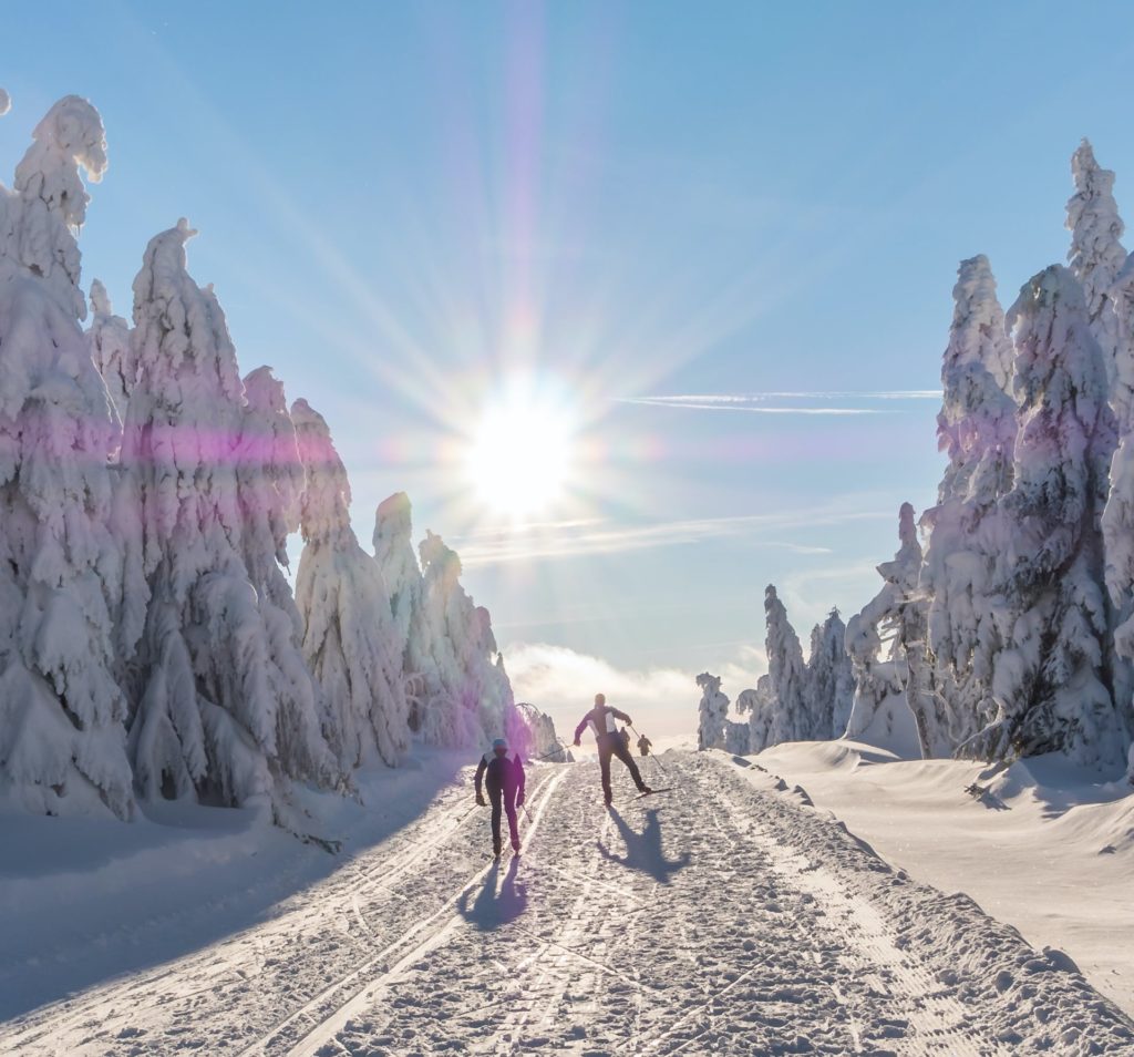 haaf-verleih-langlauf-ski