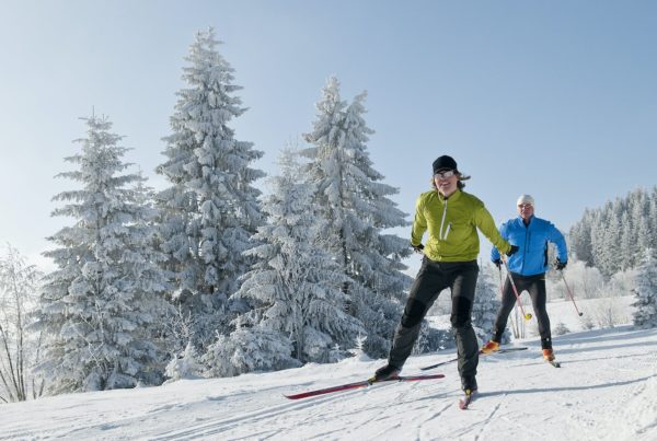 Ski Langlauf Service