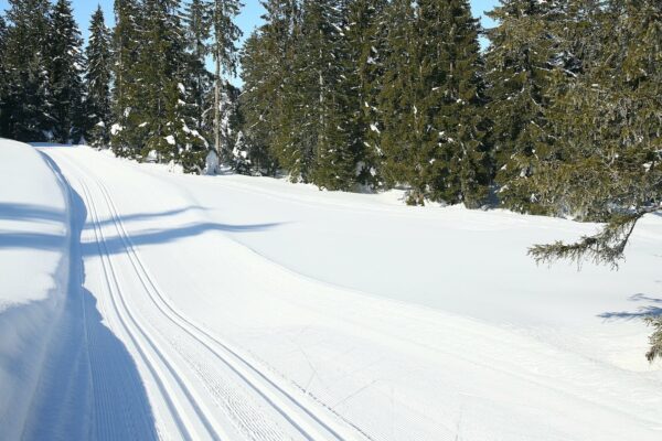 langlauf-ski-schuhe-haaf