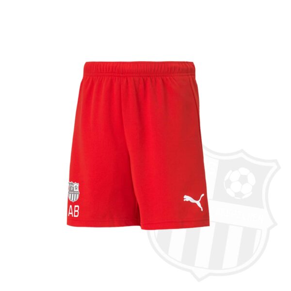 PUMA Herren Trainingsshorts teamRISE Spvgg 09 Buggingen-Seefelden