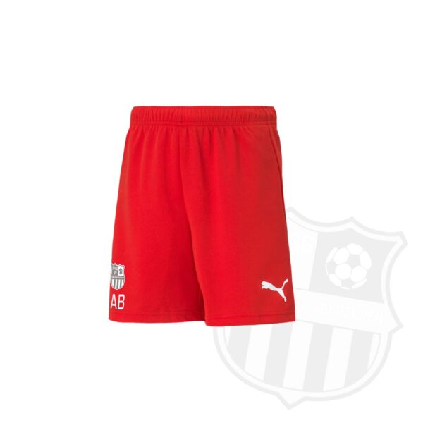PUMA Junior Trainingsshorts teamRISE Jr. Spvgg 09 Buggingen-Seefelden – Bild 2
